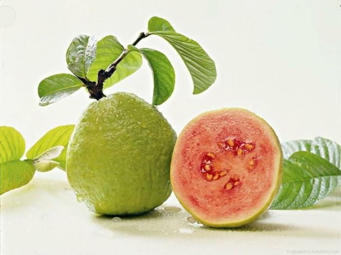 terveet hedelmät elävät terveet guava tärkein terve taustakuva4