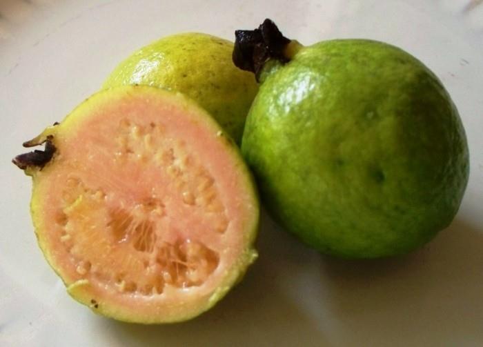 terveet hedelmät elävät terveessä guavassa tärkein terve taustakuva5