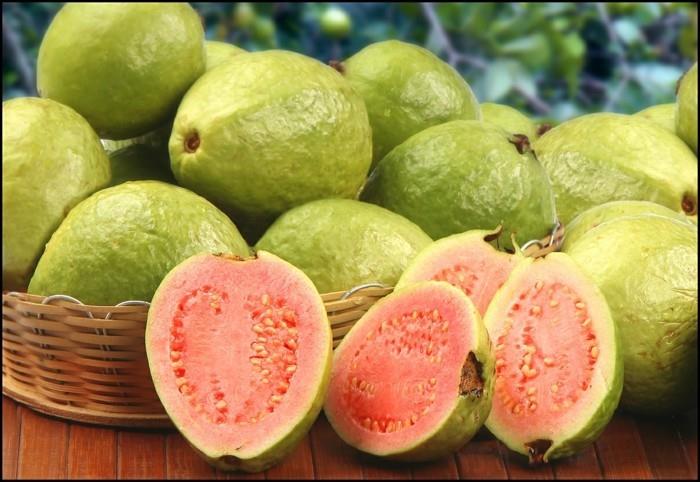 terveet hedelmät elävät terveessä guavassa, pääasia on terve
