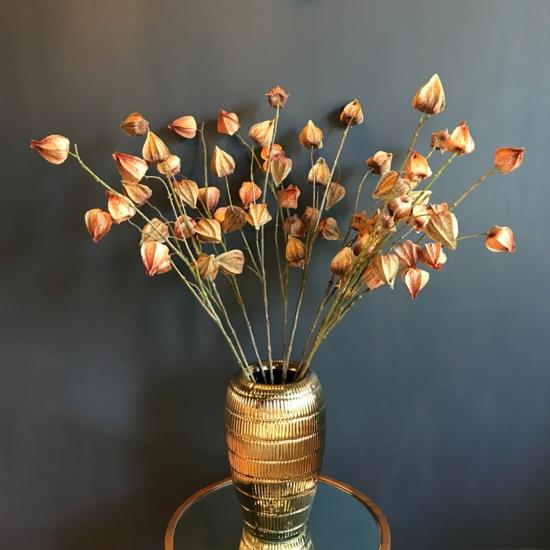 kuivattu lampoionblume physalis syksyn koristelu