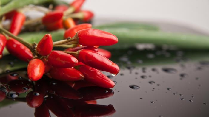 mausteiden luettelo chili positiivinen vaikutus aineenvaihduntaan