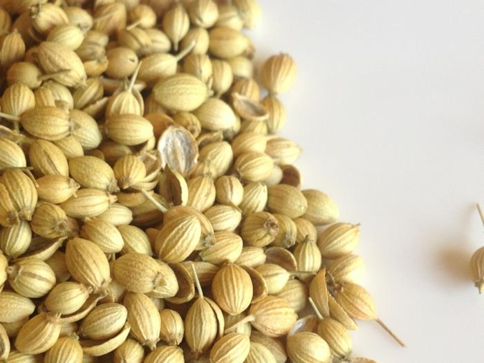 mausteet luettele korianterin siementen ominaisuudet