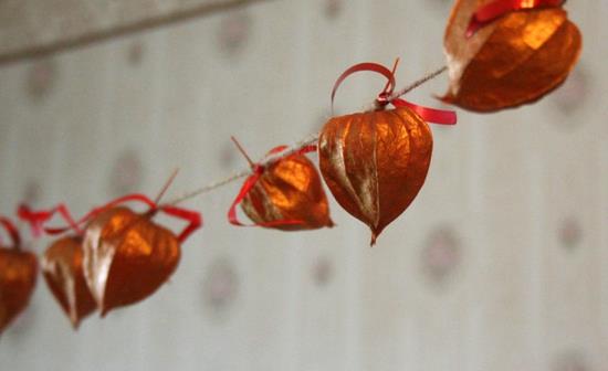 Tee seppele itsellesi lampion -kukkafyysinen