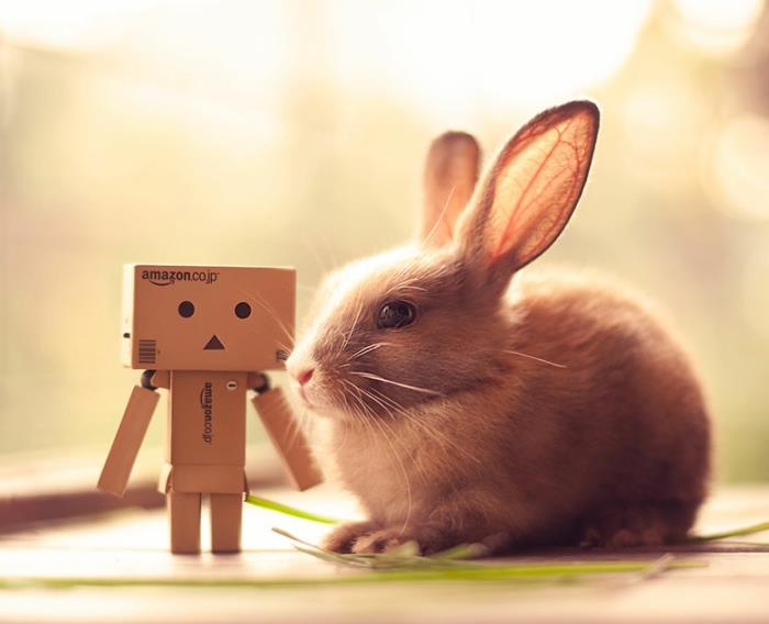 onnelliset kanit kuvat amazon box robot