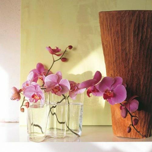 lasit vettä koristeluun orkideat vaaleanpunainen tuore alkuperäinen