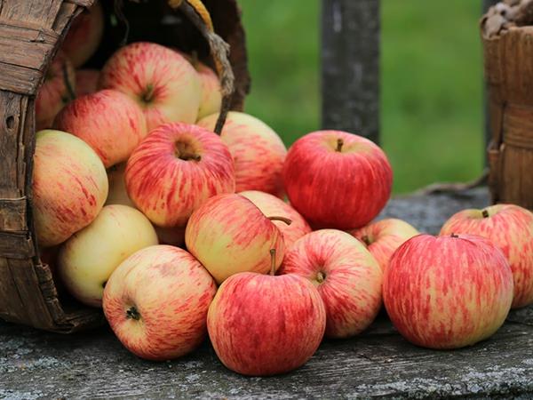 glyx -ruokavalio tuoreita omenoita