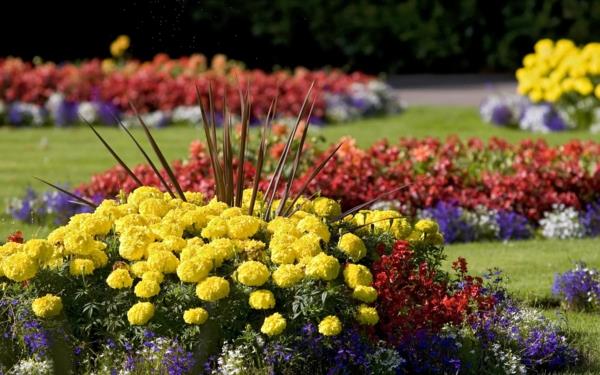 Kultaiset säännöt puutarhanhoidosta olkihattu keltaisia ​​kukkia