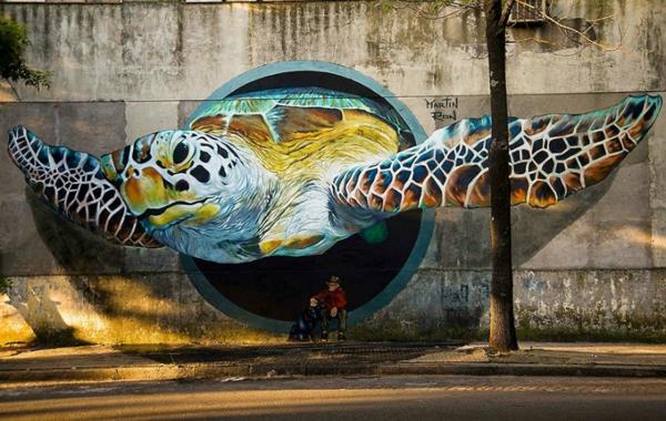 graffiti piirustus buenos aires argentiina kilpikonna