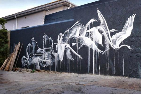graffiti art kapkaupunki etelä -afrikka joutsenet