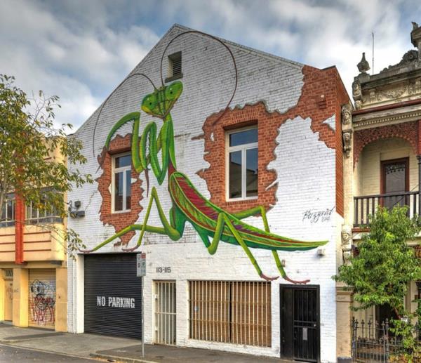 graffiti kuvia melbourne australia rukoileva mantis
