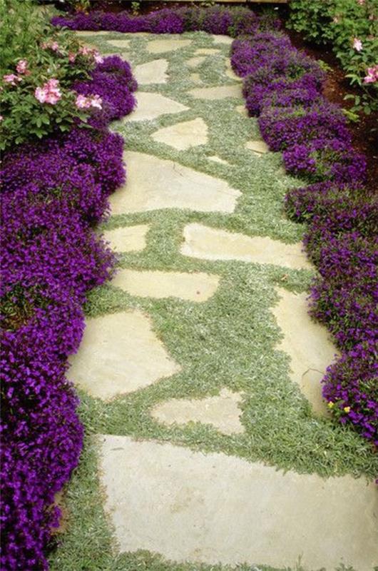 vihreä violetti puutarha
