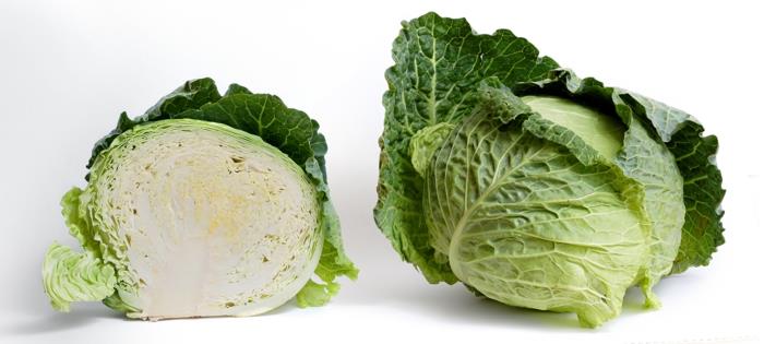 vihreät vihannekset valkoinen kaali syö syksyllä terveenä runsaasti vitamiineja