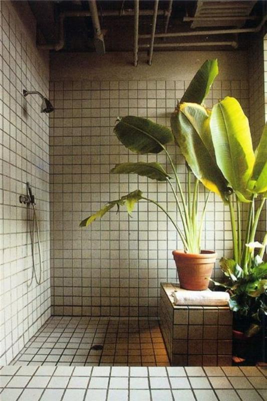 vihreät kasvit kylpyhuone design banaanit