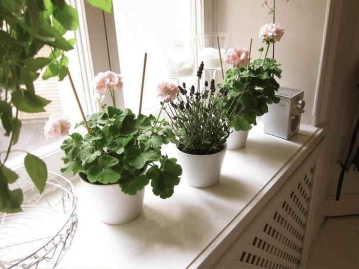 vihreät kasvit kylpyhuone suunnittelu geranium