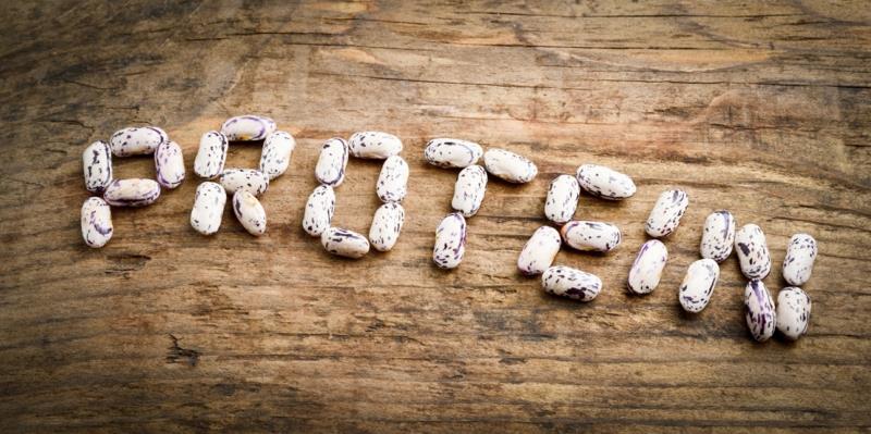 hyviä proteiinin lähteitä kasviproteiiniproteiinit elintarvikkeet