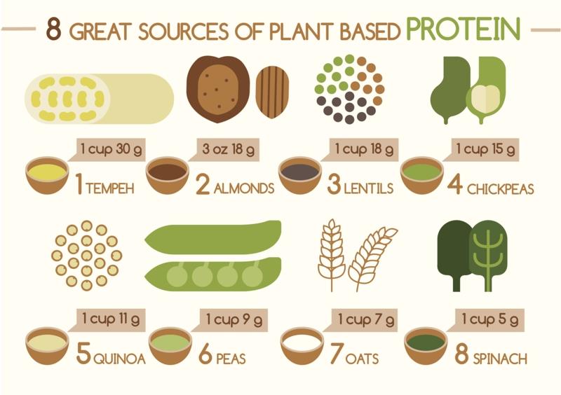 hyviä proteiinin lähteitä ovat kasviproteiinit