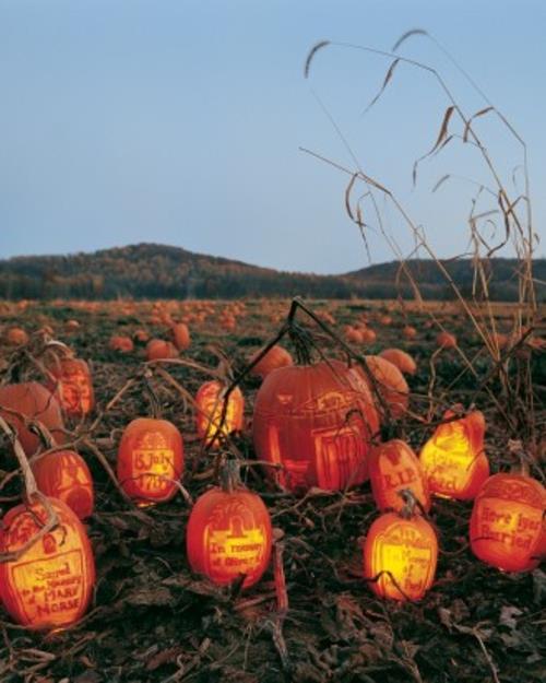 halloween -koristelu veistettyjä kurpitsia hautakivinä
