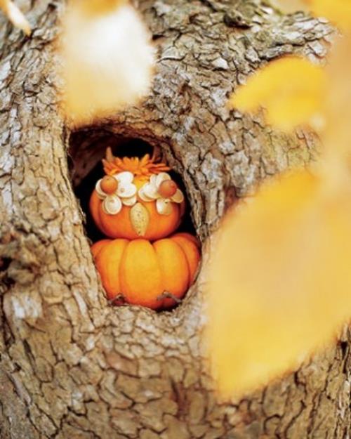 halloween -ulkokoristelu söpö pöllö, joka on valmistettu kurpitsista