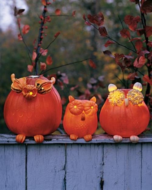 halloween ulkokoristelu hauska kurpitsa pöllöt