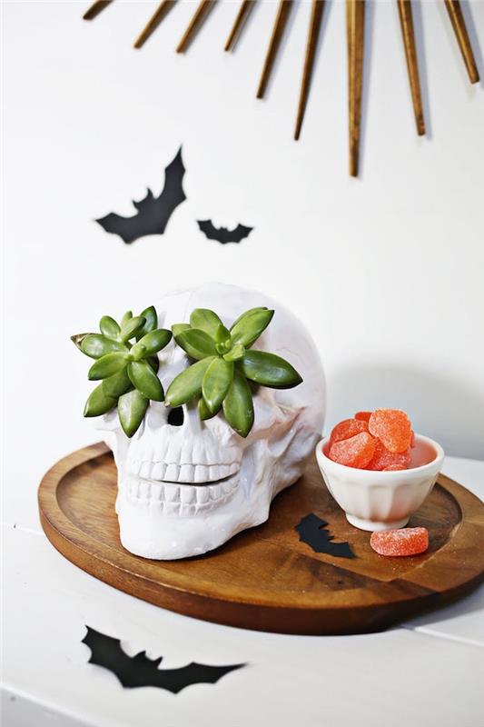 halloween -käsityöideoita valkoinen kallo ja mehikasveja