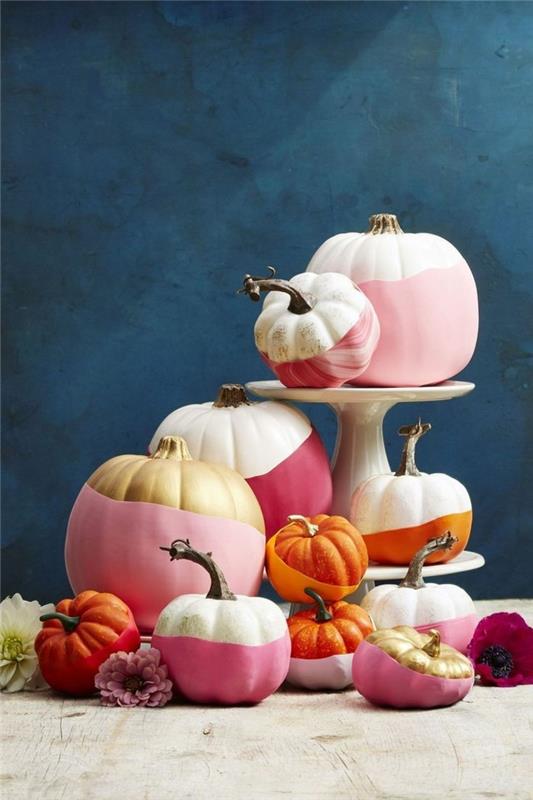 halloween kurpitsa kurpitsa bamalen tuoreissa väreissä