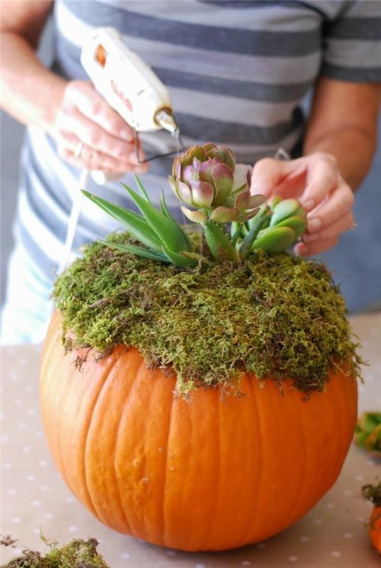 halloween -kurpitsan luova koristelu kurpitsilla ja kasveilla