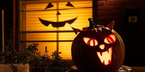 halloween kurpitsa veistämällä malleja halloween kurpitsa kasvot vihainen kissa