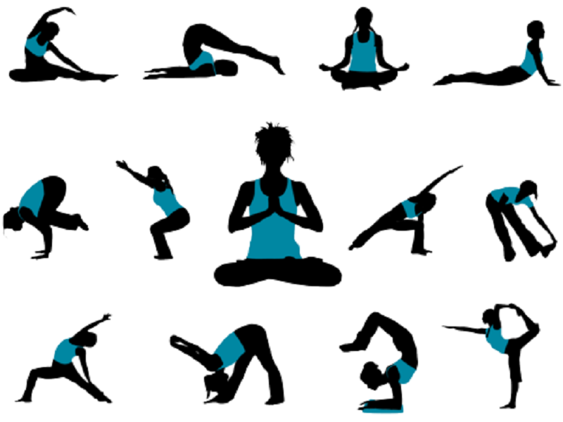 Varianter af Hatha yoga