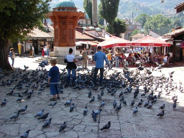 pääkaupunki bosnia ja hertsegovina sarajevo mielenkiintoisia paikkoja