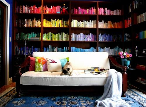talon kirjasto värikäs seinähyllyt valkoinen sohva koira idea viileä