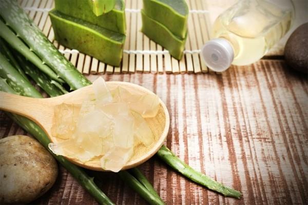 kotihoito auringonpolttamaan aloe veraan