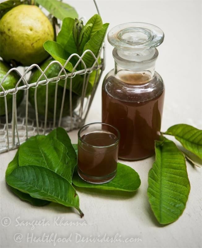 kotiin korjaustoimenpiteitä hammassärky guava lehtiuute