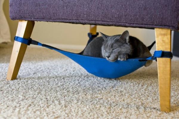lemmikkituoli nojatuoli kissat sininen riippumatto