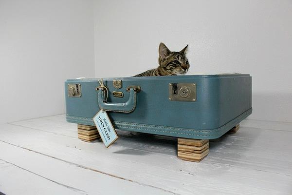 makaavat kissat koirat matkalaukku vanhanaikainen
