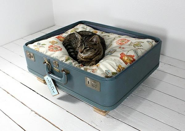 tyynyt huonekalut valehtelevat kissat koirat matkalaukut