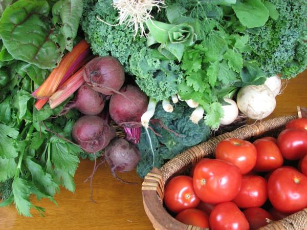 terapeuttiset paastoavat laihdutusvihannekset