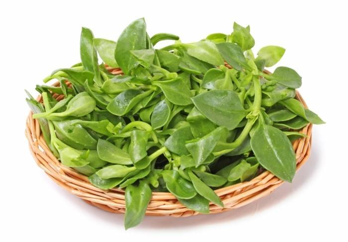 Lääkekasvit flunssan ayurveda andrographista vastaan