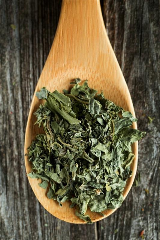 Lääkekasvit influenssaa vastaan ​​Ayurveda -lusikka