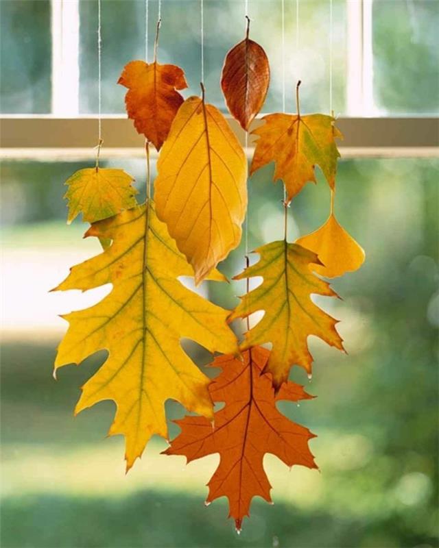 Herbstbl'tter tinkerideen diy koristelu seinän suunnittelu värikäs bl