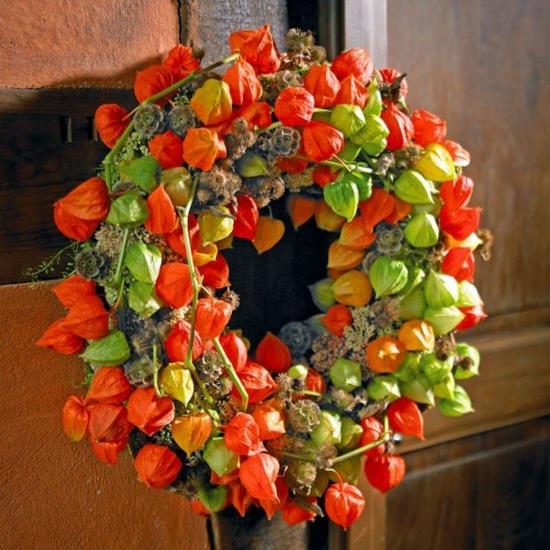 syksyn seppele lampionkukan Physalis -kasvilla