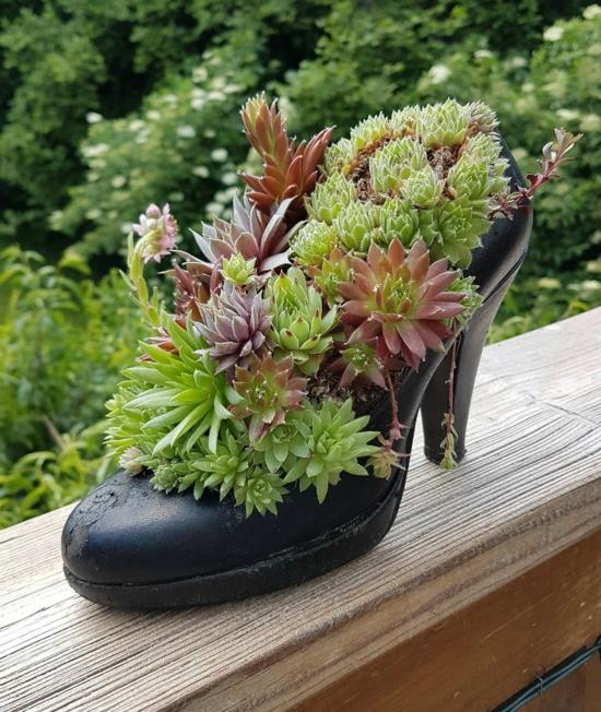 korkokengät naisten kengät planter mehikasveja