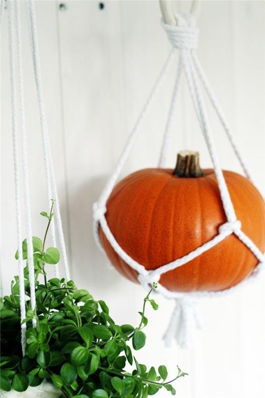 Macrame -ripustuskori kasveille ja kurpitsille