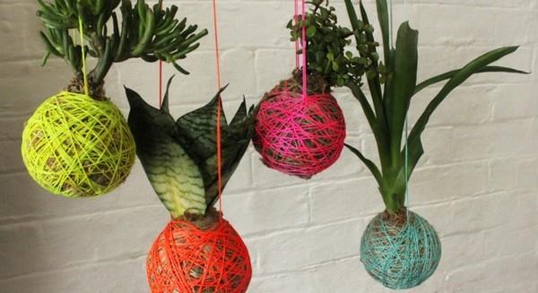 riippuva puutarha -sammalpallo Kokedama -värinen lanka