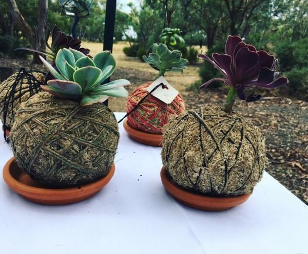 DIY riippuva puutarha -sammalpallo Kokedama