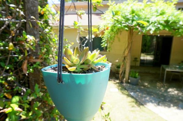 roikkuva puutarhaistutus diy -projekti