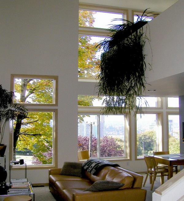 korkea katto lasi -ikkuna huonekasvit riippuvat kasvit