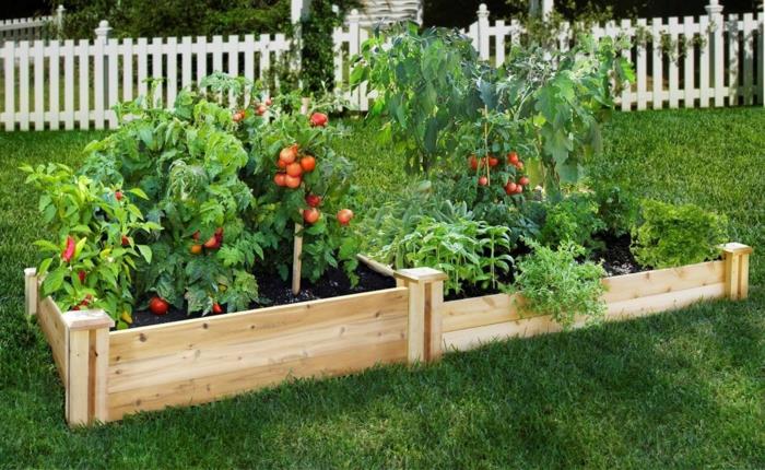 rakentaa korotettuja sänkyjä istutus puutarhaideoita diy ideoita puu etupiha polku kukkapenkki tomaatit