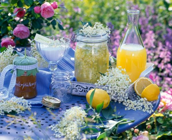 Elderflower hyytelö kesä aamiainen