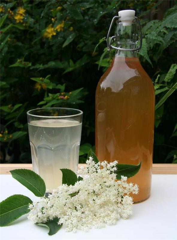 Elderflower siirappi valkoiset kukat lasipullo