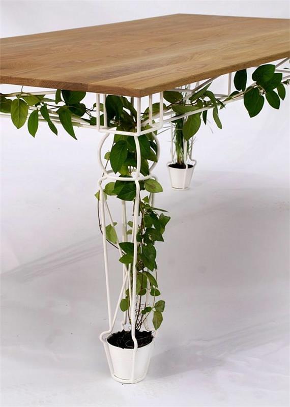 puinen pöytä ruokasali pöytä sisäkasvit ruukkukasvi kiipeilykasvit
